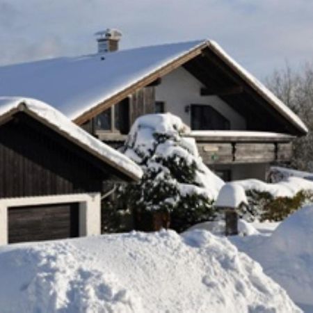 Apartament Harzhaus Rauch Braunlage Zewnętrze zdjęcie